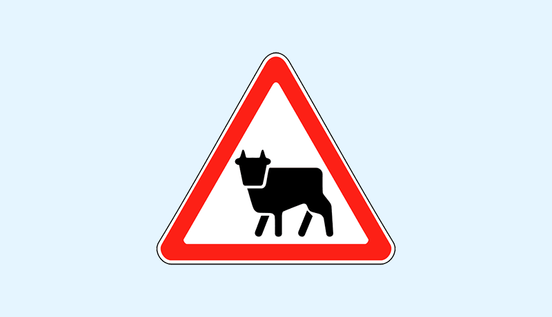 знак перегон скота