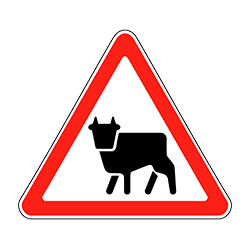знак 1.26 Перегон скота