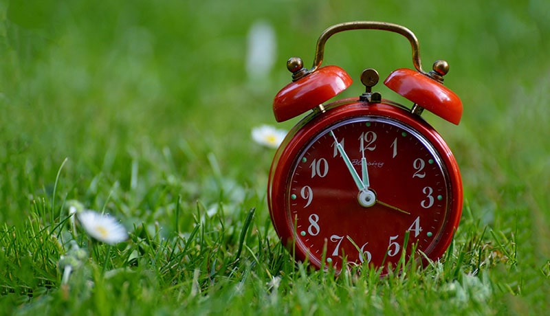 красный будильник стоит на траве