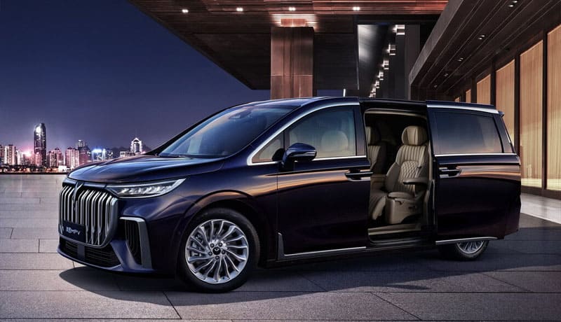 воя дрим бордовый