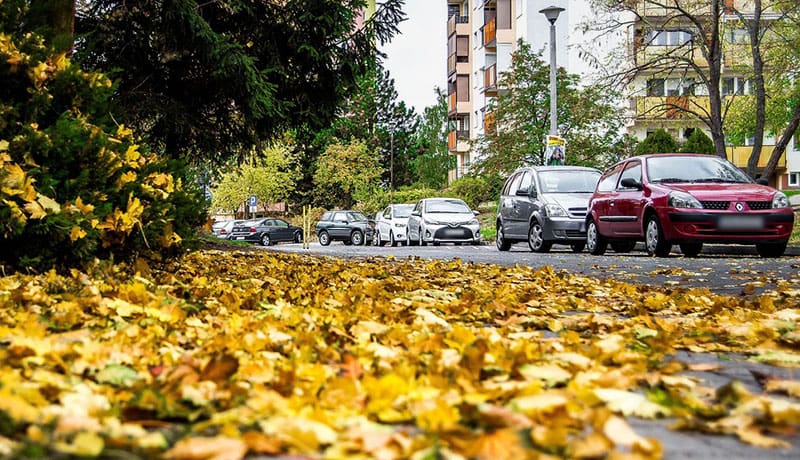 осенняя дорога с автомобилями и желтыми листьями